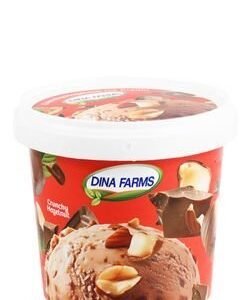Dina Farms Crunchy Hazelnut Ice Cream 500 ml