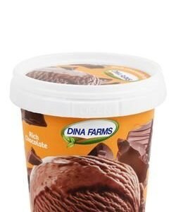 Dina Farms Rich Chocolate Ice Cream 150 ml