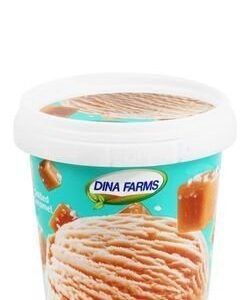 Dina Farms Creamy Salted Caramel Ice Cream 150 ml