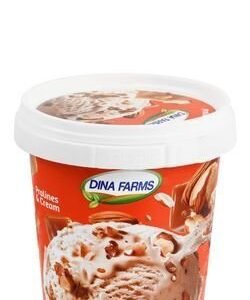 Dina Farms Creamy Pralines & Cream Ice Cream 150 ml