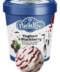 Paradise Blackberry Sauce Yogurt Ice Cream 140 ml