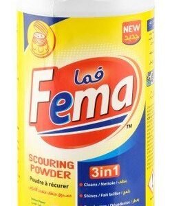 Fema 3in1 Cleaning  Shining & Deodorizing Scouring Powder