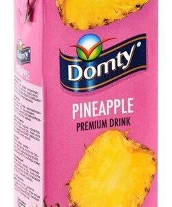 Domty Plus Long Life Pineapple Drink