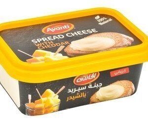 Avanti Cheddar Cheese Spread