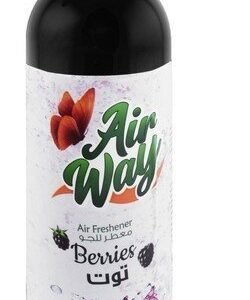Air Way Berries Air Freshener Spray 450 ml
