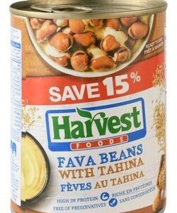 Harvest Foods Fava Beans with Tahina (15% Off) - preservatives free