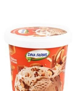 Dina Farms Creamy Pralines & Cream Ice Cream