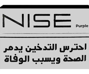 Nise Purple Tobacco Sticks