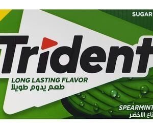 Trident Gum Spearmint Flavor - sugar free