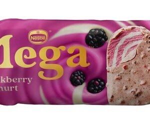 Mega Blackberry & Yogurt Ice Cream Stick
