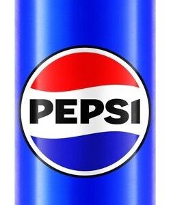 Pepsi Regular Can